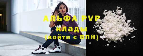 трава Новозыбков