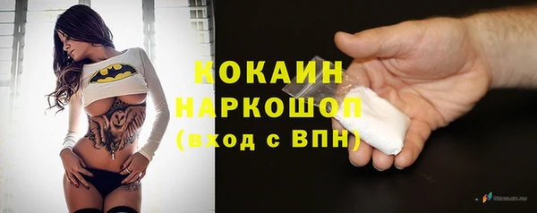 трава Новозыбков