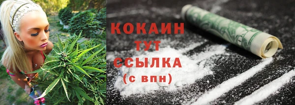 трава Новозыбков