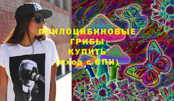 трава Новозыбков