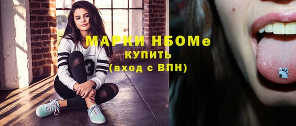 трава Новозыбков