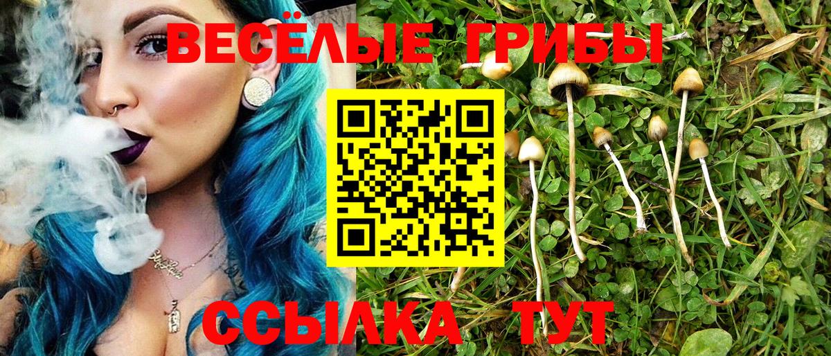 Галлюциногенные грибы прущие грибы  Кубинка  как найти закладки  Галлюциногенные грибы ЛСД 