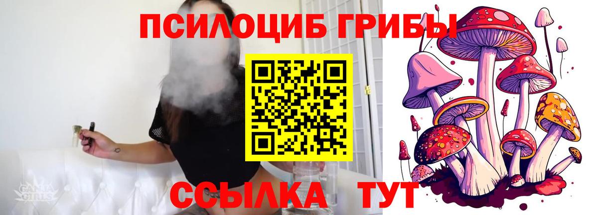 Псилоцибиновые грибы мицелий Кубинка